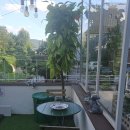 힐링비어존 이미지