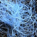 수정여관 이미지