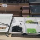 뜰한식부페 이미지