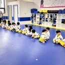 금강태권도 파워점핑 이미지