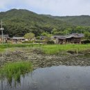 경주 동남산& 경북천년숲정원 걷기여행 이미지