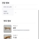 뜨란펫 | 파충류 입문자에게 추천하는 [평택 파충류 # 후기]