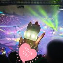 문학경기장 | 260411 박효신 막콘 후기, 인천문학경기장 4층 w62 좌석 시야