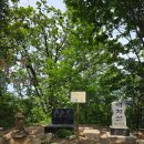 현농장 | [블랙야크 100대 명산]강원 영월 태화산 흥교태화산농장-정상 원점회귀 등산코스 후기!!