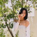 솔비