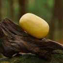 바디울천 이미지