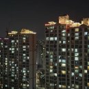 250411 김문수-이재명 대권 행보… 단체장들도 출마 러시 이미지