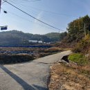 금산흑염소 - 서대문구 | 금산흑염소