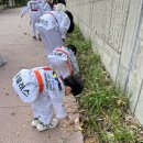 탑클래스 영어태권도장 | 태전동 태권도, 플로깅 데이 행사를 통해 많은 것을 느낄 수 있었던 탑클래스 태권도장의 값진 하루!