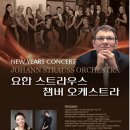 요한 스트라우스 챔버 오케스트라 이미지