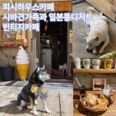 견바라기 | [고베/아리마온천카페]Fish House Cafe,시바견 가족을 만지고 커피디저트먹을 수 있는 카페