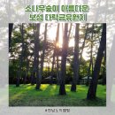 겸백면민회관 화장실 | 전남노지캠핑 - 보성 다락금유원지(보성겸백솔밭)