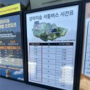 강아지숲 박물관 | 강아지 숲 후기.