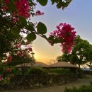 동일1리 | 제주 대정 가볼만한곳 일몰 노을맛집 야경 카페