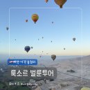 천원샘씨앤알 | [이집트 여행]룩소르 벌룬 투어 솔직 후기! 예약 방법, 가격부터 탑승 꿀팁까지