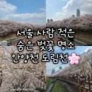 월평역 2번출구(육교밑) | 적은 숨은 벚꽃 명소] 안양천 도림천 후기 추천 코스(양평역 - 안양천제방벚꽃길 - 도림천 - 신도림역)