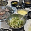 옥길동갈매기 이미지