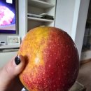 버들골농장 이미지