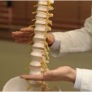 광화문경희한의원 이미지