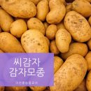 흥농종묘사 이미지