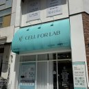 하모니 | [일산 누워서 하는 쉽고 편한 다이어트] 셀포랩 하모니 체험후기