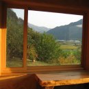 평창들꽃 이미지