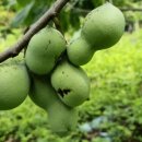 달림농장 이미지