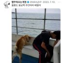 평화이발관 이미지