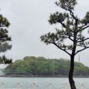 돌산수산 이미지