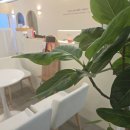 경서충전소 | 하남 다이어트 핫플 "근육충전소" 에서 건강한 다이어트하기