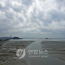 금광물산 이미지