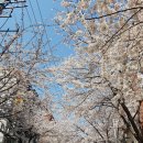 양재대로62길 이미지