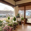 현암리 돌담집 이미지