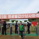 제23회 영광불갑산상사화 축제 이미지