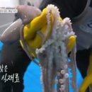 매일낙지 이미지