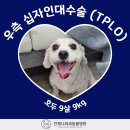 배방동물병원