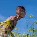 대장카랜드 이미지