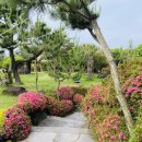 향연양꼬치 이미지