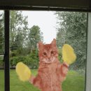 현대동물약품 이미지