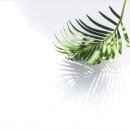 초록바람 이미지