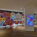 블루밍데이즈 이미지