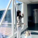 제주 해비치 호텔 남돈남산 호캉스 후기 부대시설 이용 방법 (수영장, 헬스장)