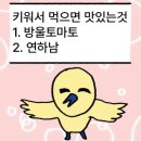 청두곶8길 42-6 | [제주 여행] 여전히 주접떠는 여성의 2박 3일 제주도