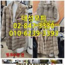 신세계모피세탁 이미지