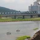 용배보 Daum카페