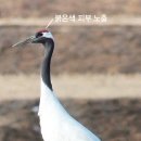 두루미202 이미지