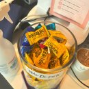 도우통상 | [미사애견동반맛집] 테이블드파스타 솔직 후기 샐러드 파스타 피자 정말 맛있어!