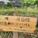 동산위의 교회 이미지