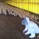 김동수농장 이미지