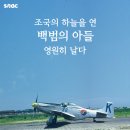 김신장군 이미지